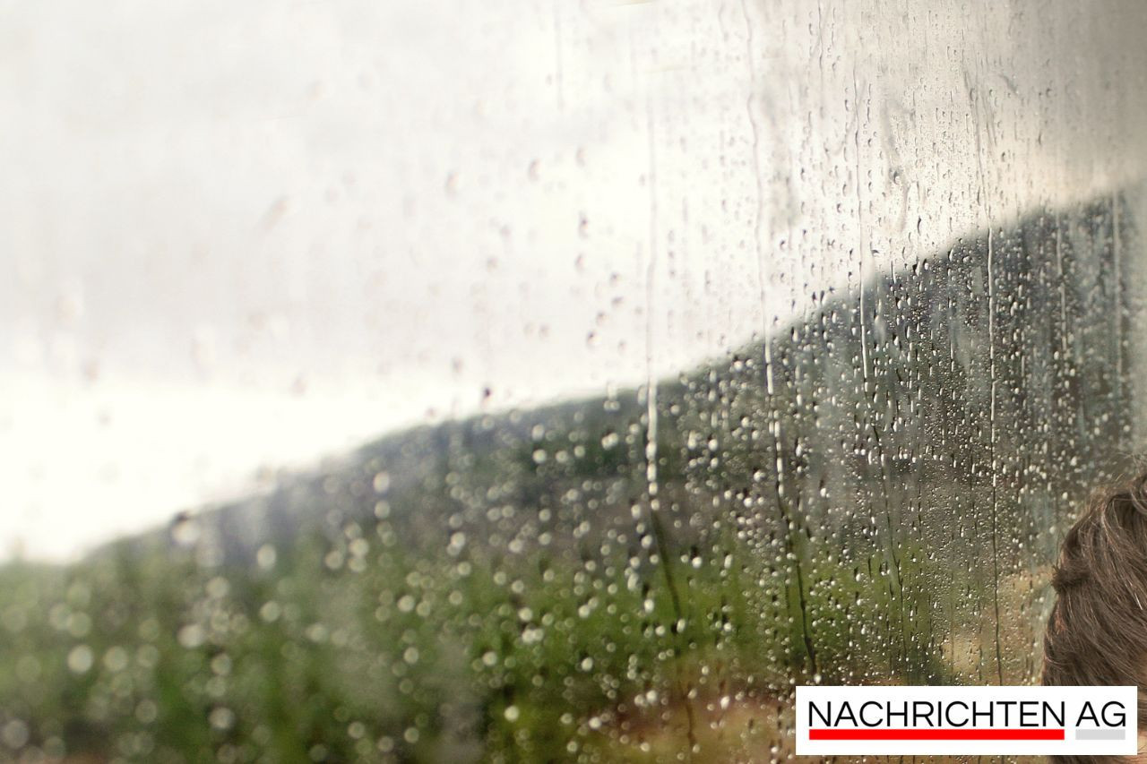 Erinnerung an die Heldin: Stolperstein für zwangsrekrutierte Elsässerin