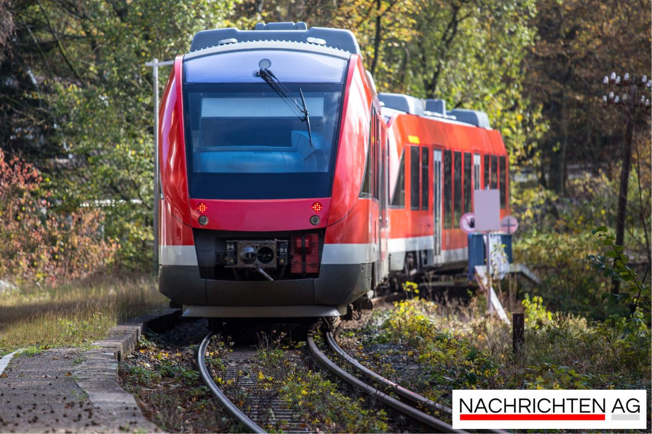 Wetterchaos in Rheinland-Pfalz: Züge fallen aus wegen umgestürzter Bäume!