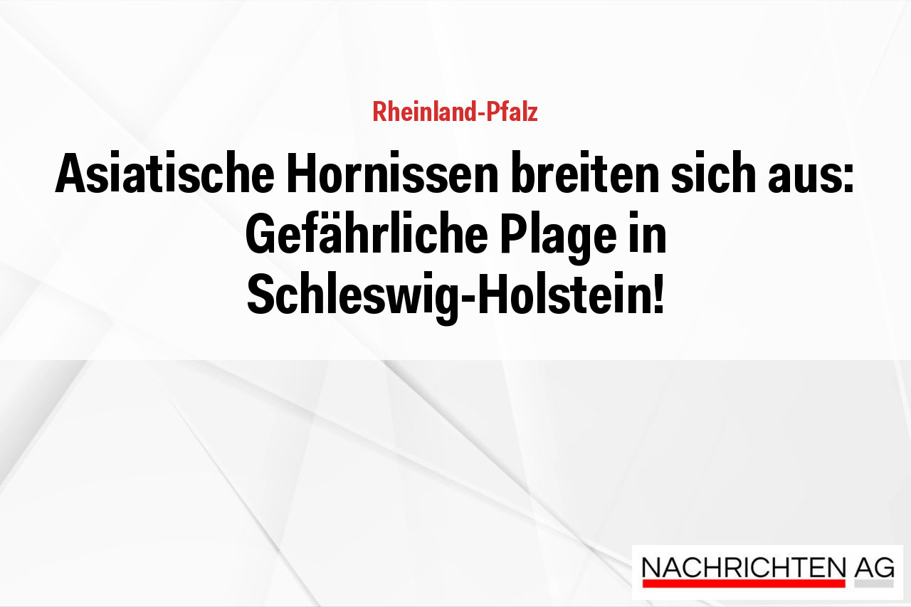 Asiatische Hornissen breiten sich aus: Gefährliche Plage in Schleswig-Holstein!