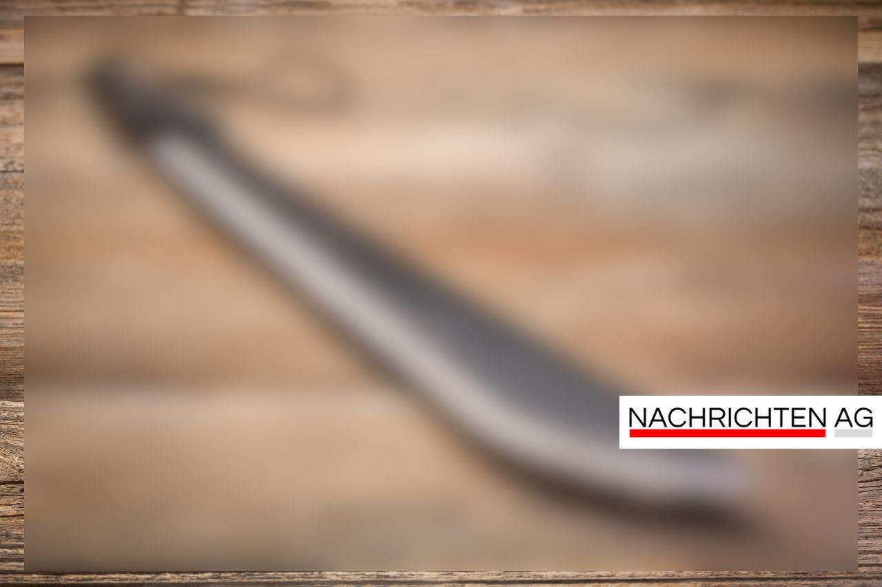 Tödlicher Streit um Videospiele: Jugendlicher nach Messerangriff verurteilt